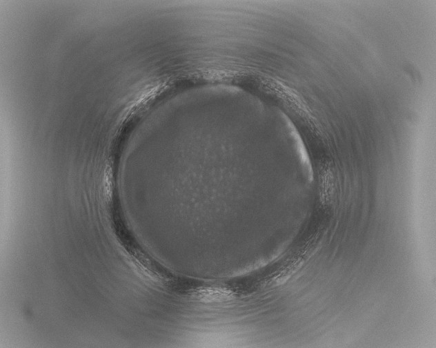 X0000116430644200912221506