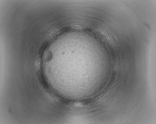 X0000116430647200912221506