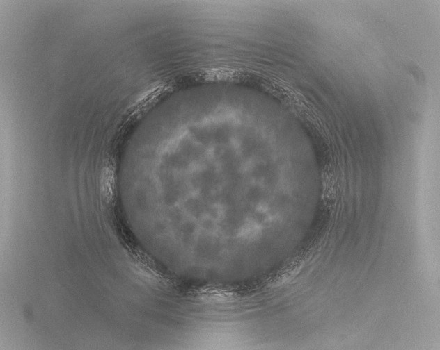 X0000116430648200912221506