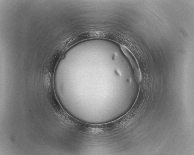 X0000116430649200912221506