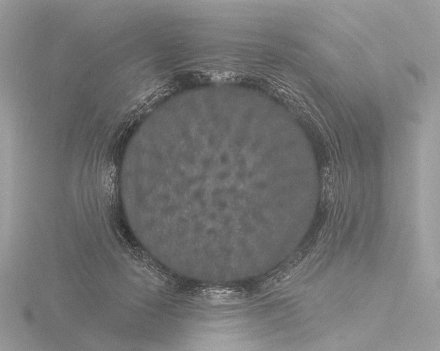 X0000116430650200912221506