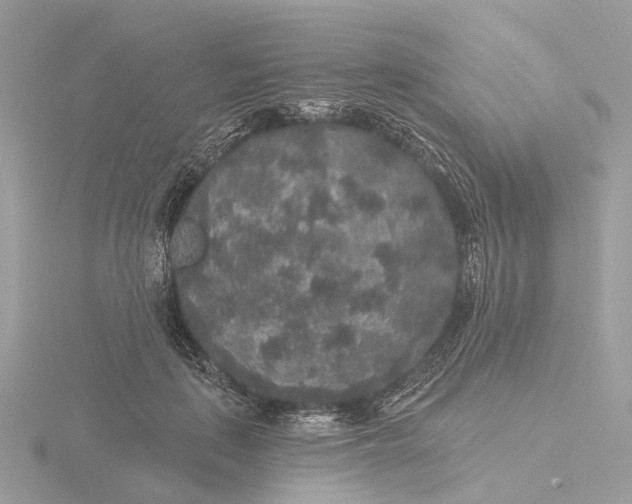 X0000116430651200912221506