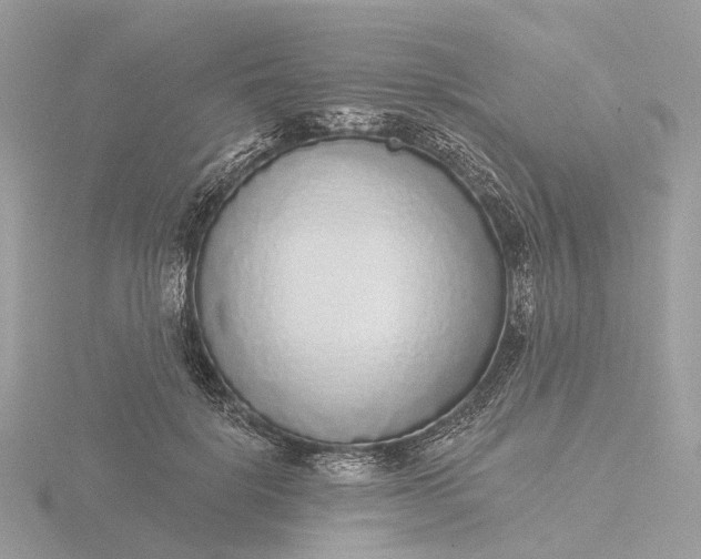 X0000116430652200912221506