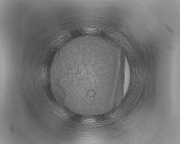 X0000116430653200912221506