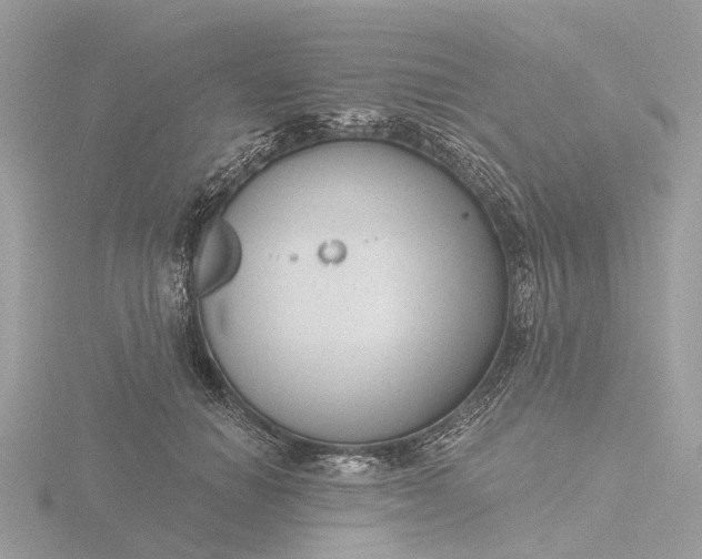 X0000116430654200912221506