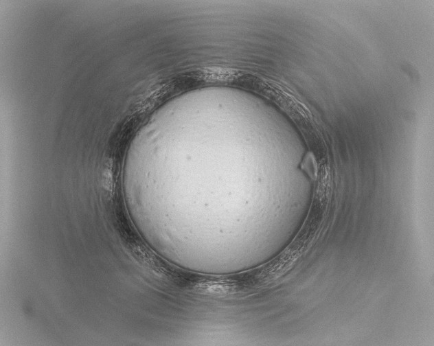 X0000116430655200912221506