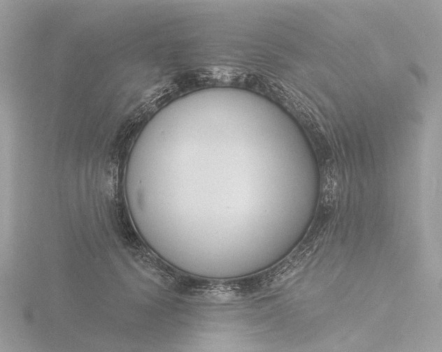 X0000116430656200912221506