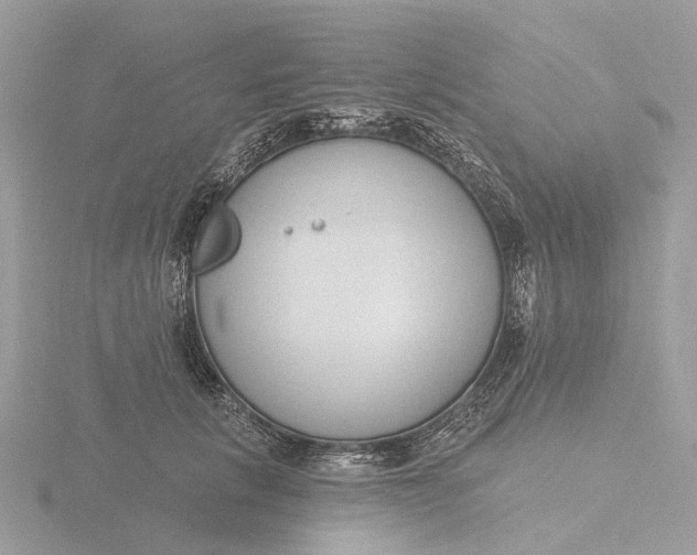 X0000116430657200912221506