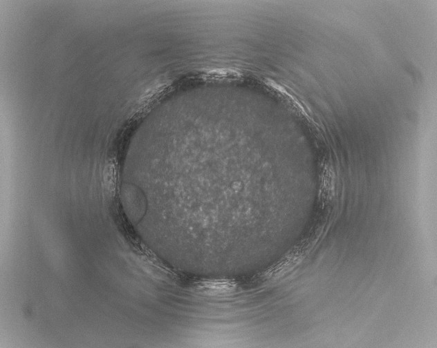 X0000116430659200912221506