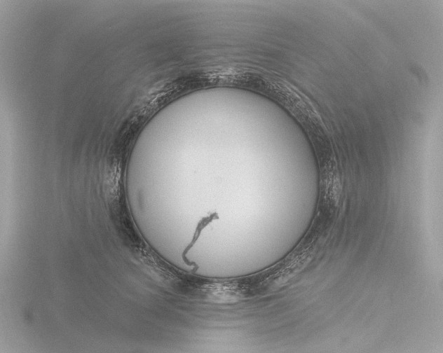 X0000116430660200912221506