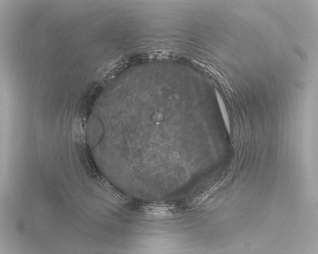 X0000116430661200912221506