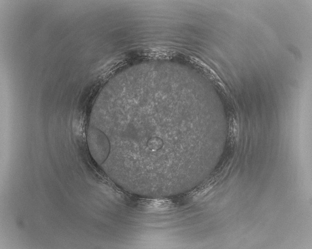 X0000116430663200912221506