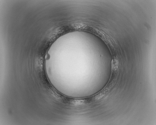 X0000116430664200912221506