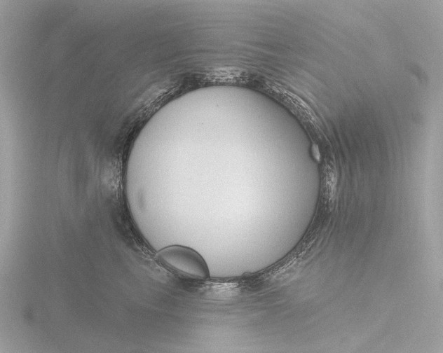 X0000116430665200912221506