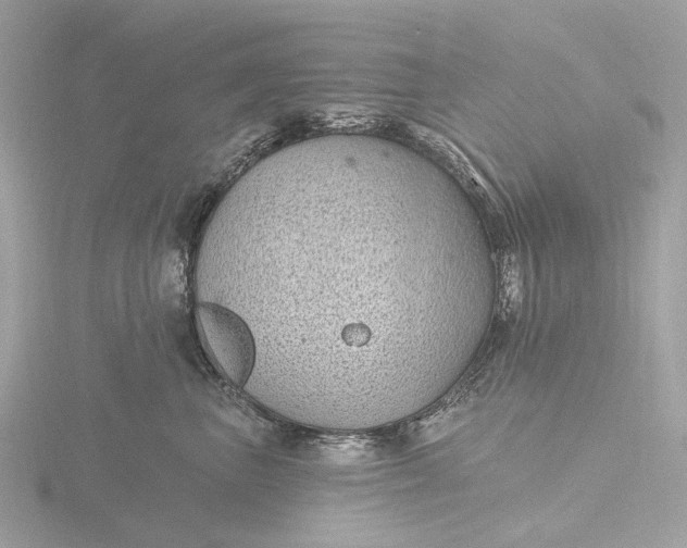 X0000116430667200912221506