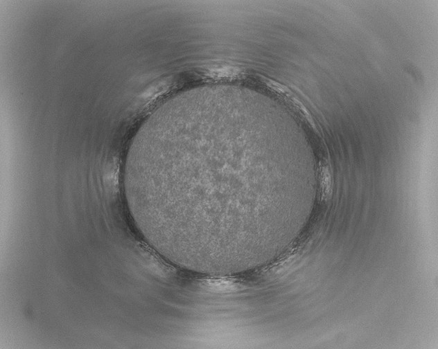 X0000116430668200912221506