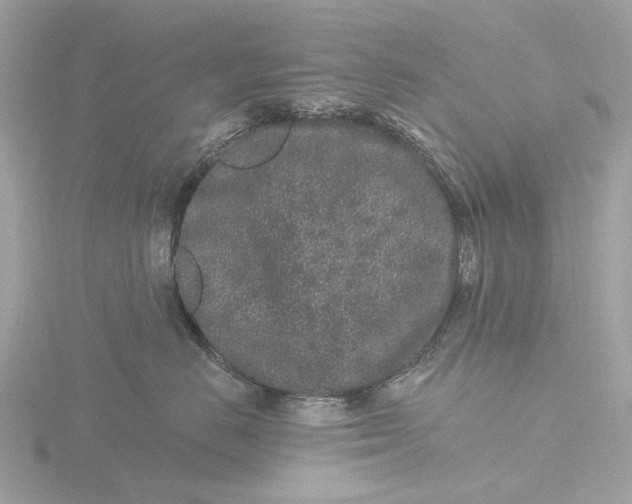 X0000116430670200912221506