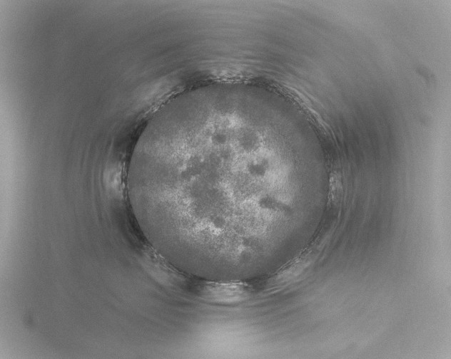 X0000116430671200912221506