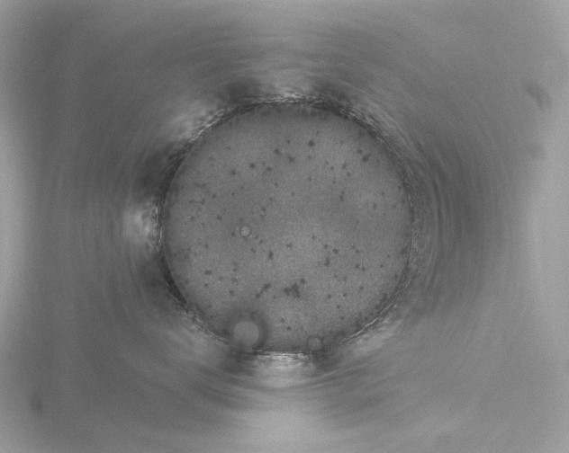 X0000116430672200912221506