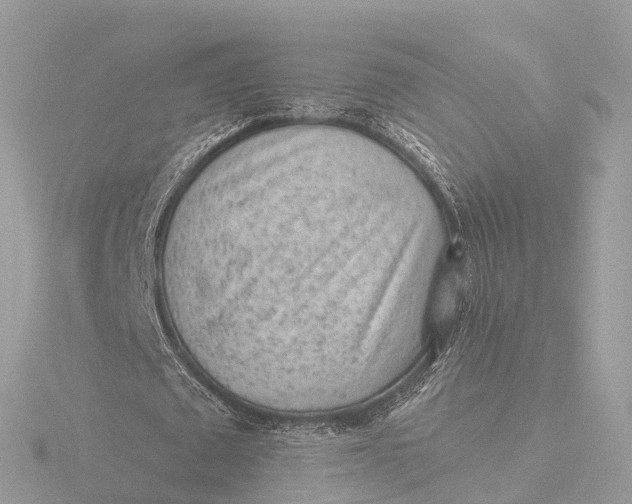 X0000116430673200912221505