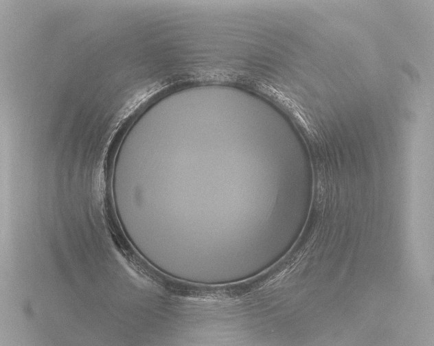 X0000116430674200912221505