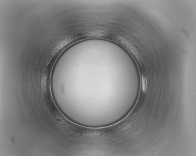 X0000116430675200912221505