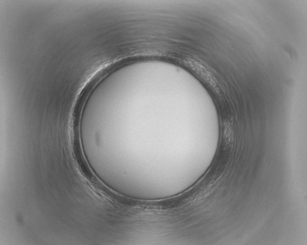 X0000116430676200912221505