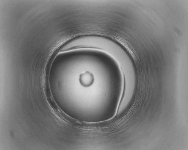 X0000116430677200912221505