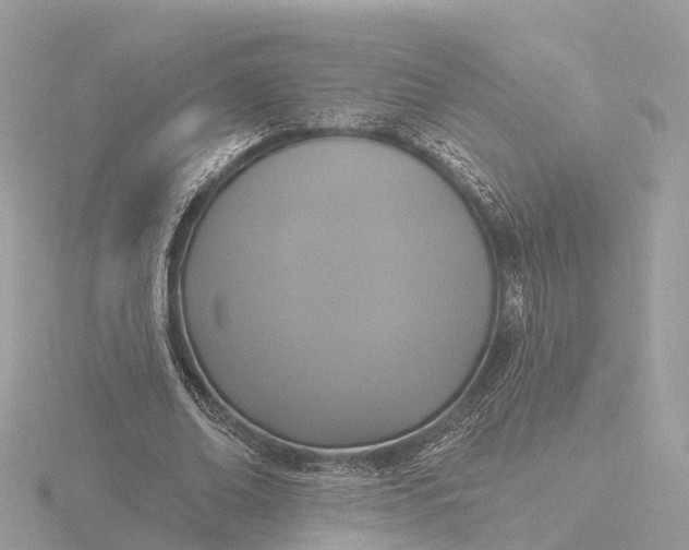 X0000116430678200912221505