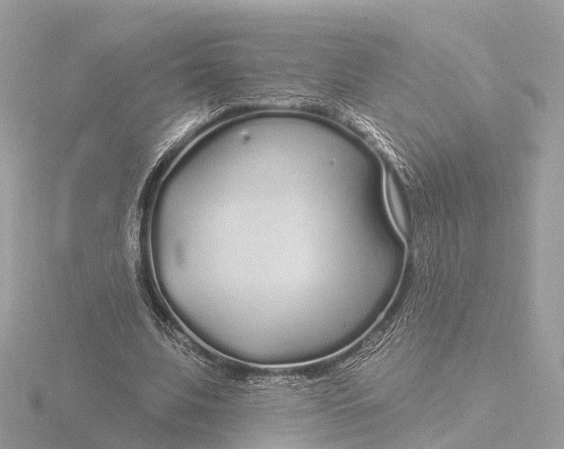 X0000116430679200912221505