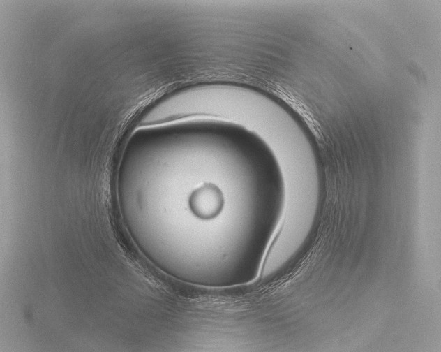 X0000116430681200912221505