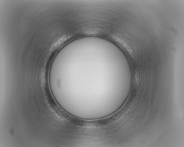 X0000116430682200912221505