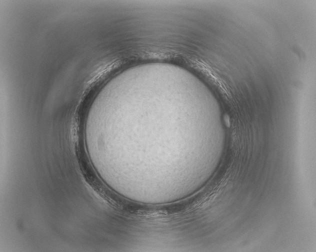 X0000116430683200912221505