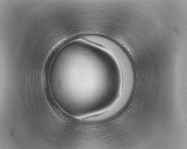 X0000116430684200912221505