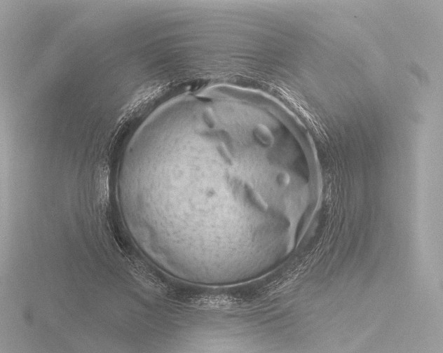 X0000116430685200912221505