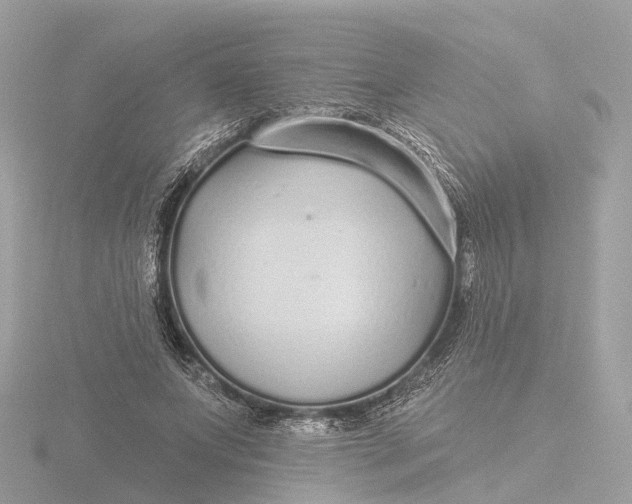 X0000116430687200912221505