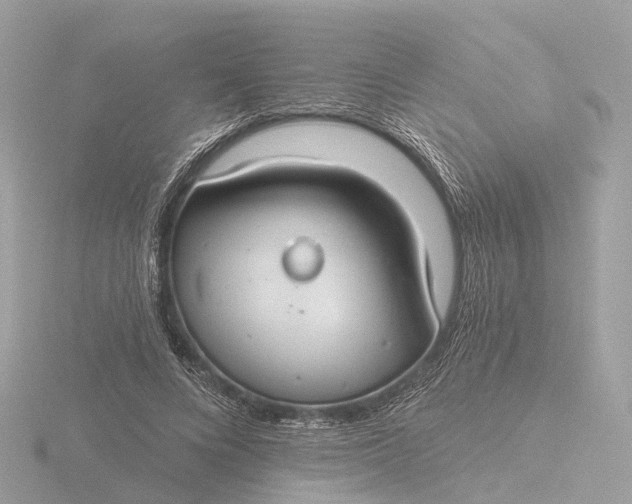 X0000116430688200912221505