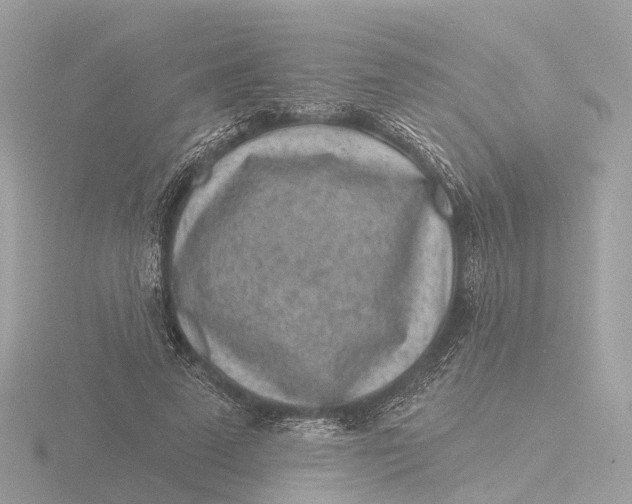 X0000116430689200912221505