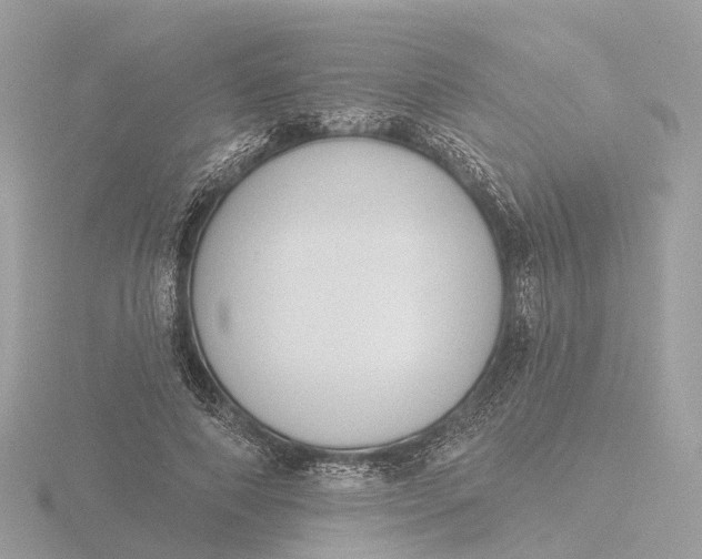 X0000116430690200912221505