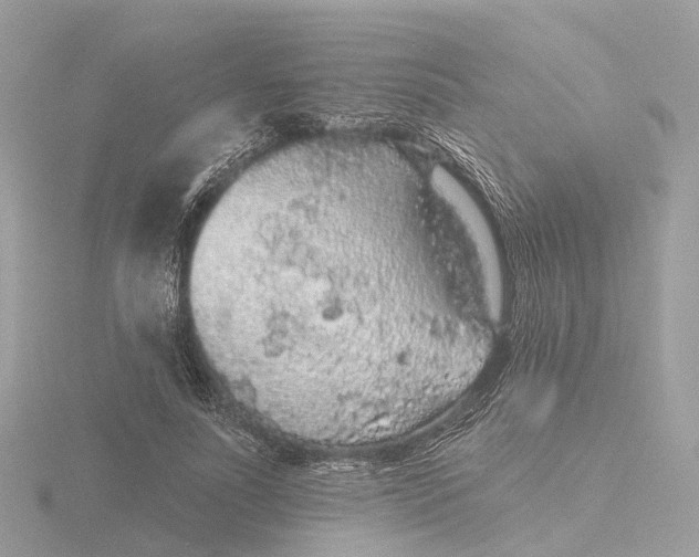 X0000116430691200912221505