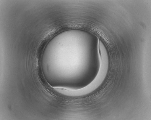 X0000116430692200912221505