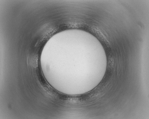 X0000116430694200912221505