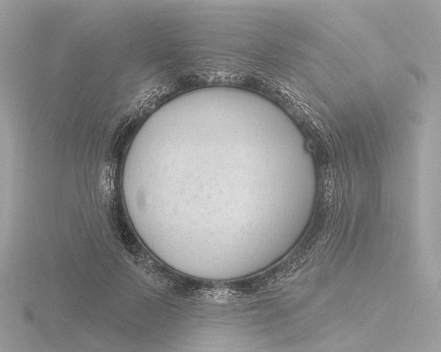 X0000116430695200912221505