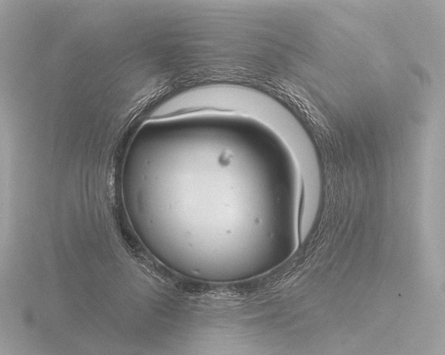 X0000116430696200912221505