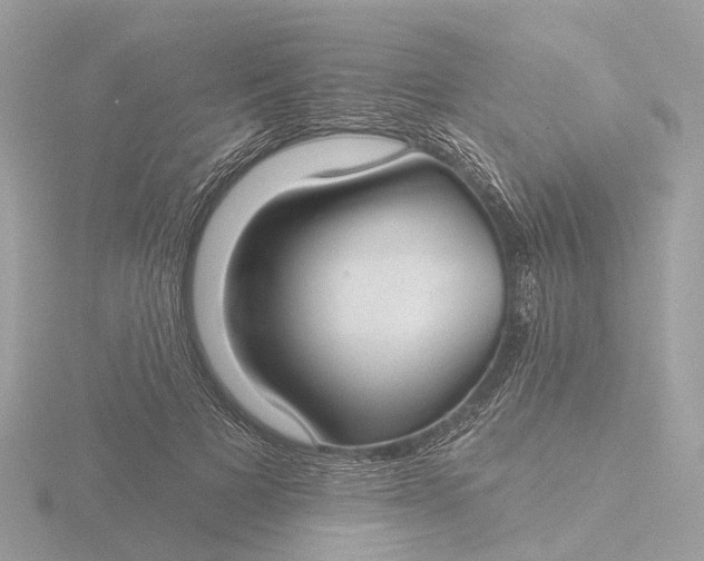 X0000116430697200912221505