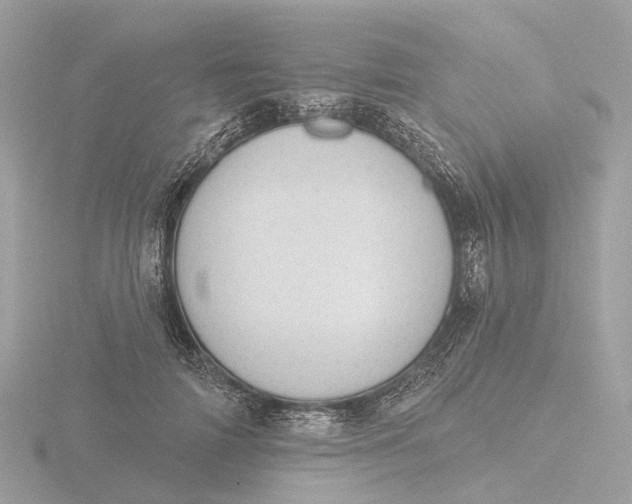 X0000116430698200912221505