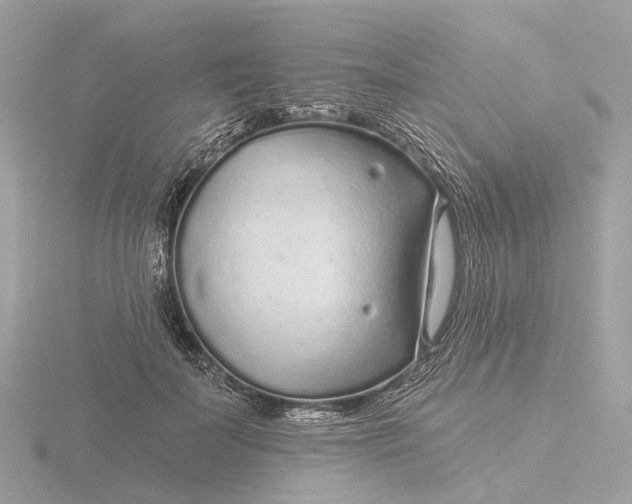 X0000116430699200912221505