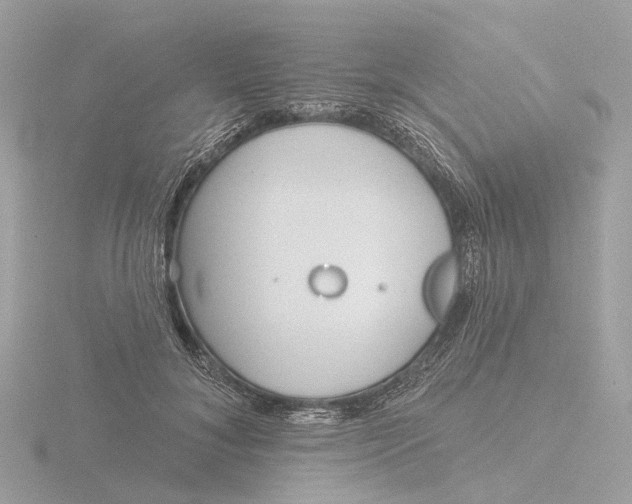 X0000116430700200912221505