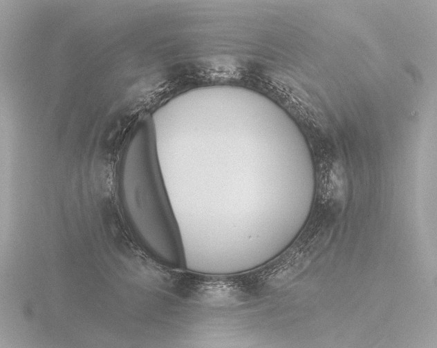 X0000116430704200912221505