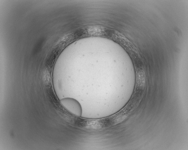 X0000116430705200912221505